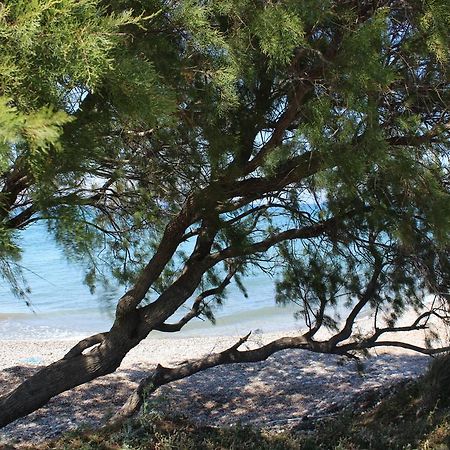 Corellia Asterias Beach Hotel Теологос Екстер'єр фото