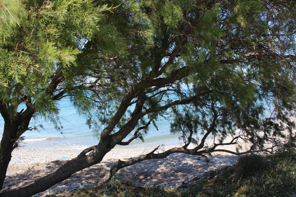 Corellia Asterias Beach Hotel Теологос Екстер'єр фото