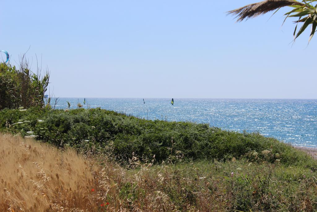 Corellia Asterias Beach Hotel Теологос Екстер'єр фото